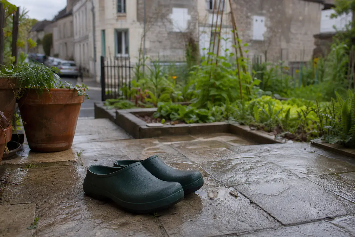 Paire de sabots de jardinage propres posée sur une terrasse, devant un potager français après la pluie