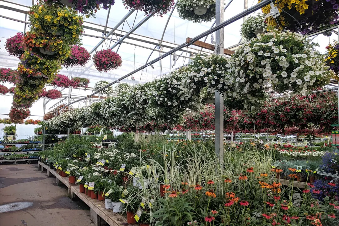 Professeur et groupe d’enfants observant des plantations en pots lors d’un concours de jardinage au soleil
