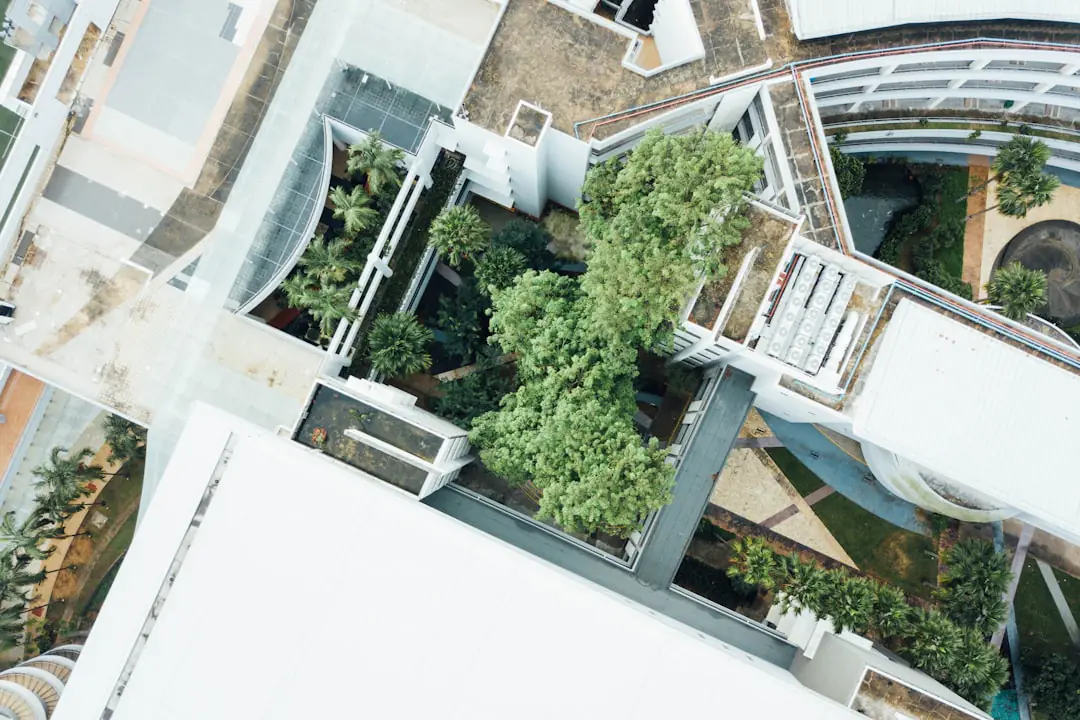 Potager sur toit-terrasse avec bacs légers, tomates cerises, aromatiques et paillage sous lumière naturelle