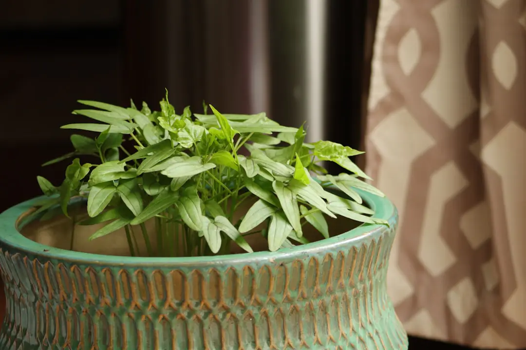 Appareil de jardinage d’intérieur en forme de lampadaire éclairant basilic, salades et aromatiques dans un salon lumineux