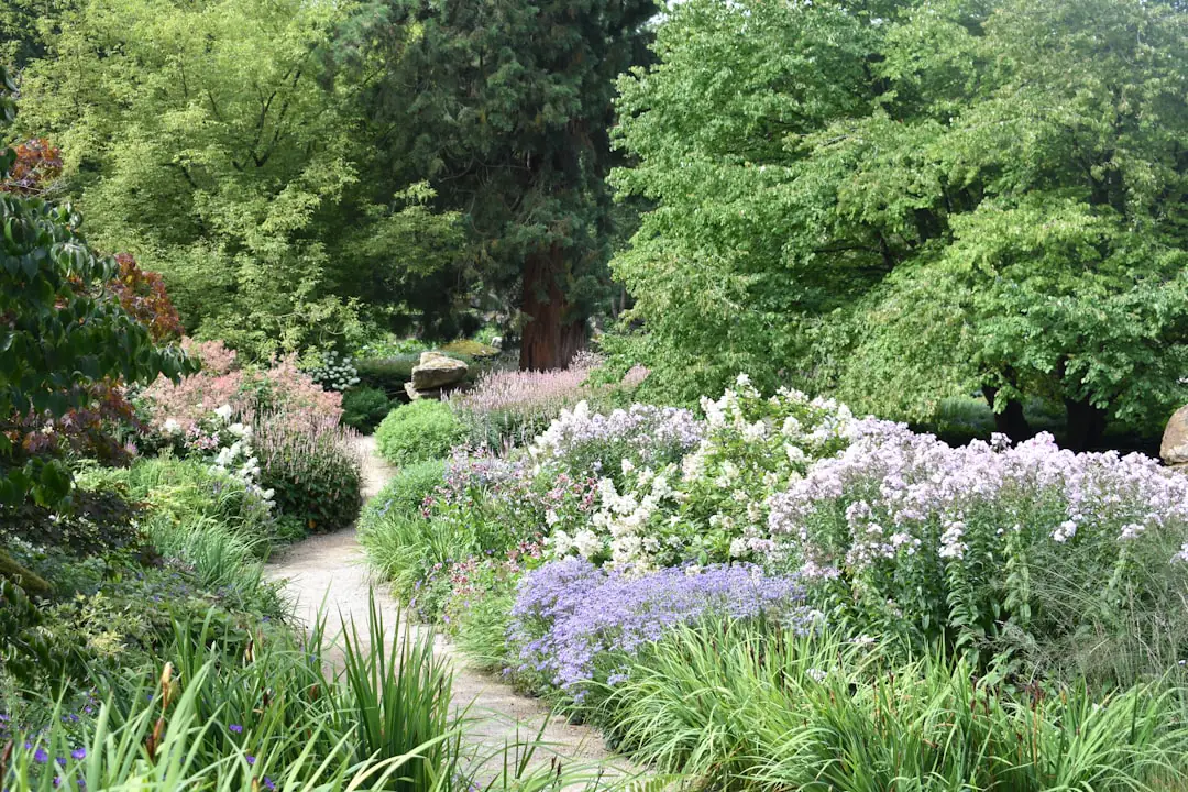 Petit jardin français diversifié avec potager paillé, fleurs mellifères, arbuste et récupérateur d’eau discret