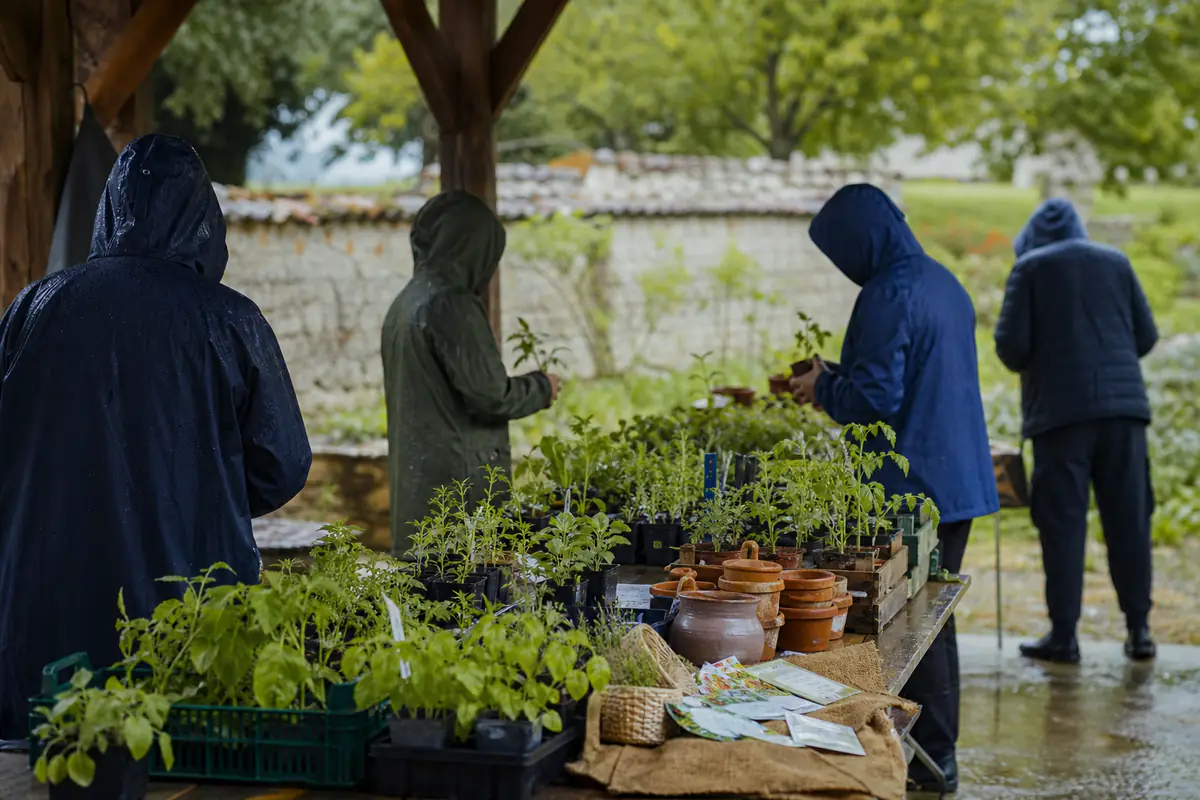 Échange de plants et de sachets de graines sous un préau lors d’un troc-jardin pluvieux et convivial
