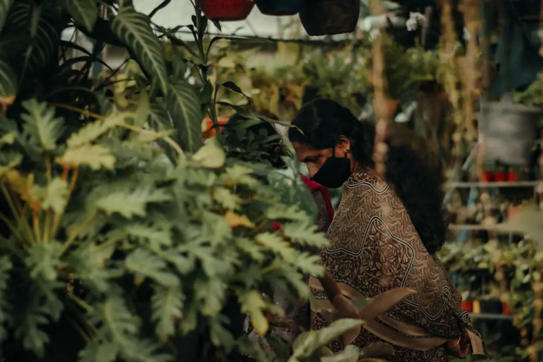 Jardinier appliquant un paillage organique autour de jeunes plants dans un potager familial ensoleillé