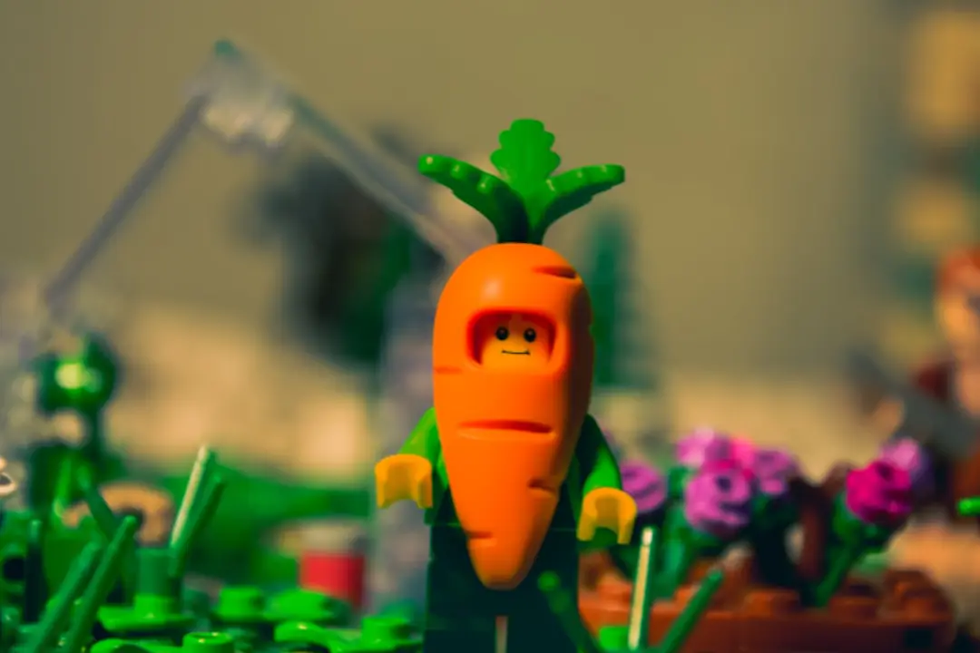 Micro-potager urbain à Dakar avec bacs de légumes-feuilles et gombo protégés du soleil dans une cour.