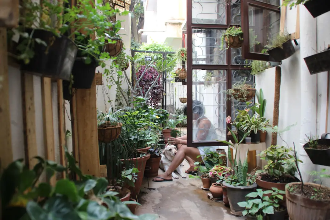 Coin de jardinage d’intérieur lumineux avec plantes vertes, pots percés, substrats et arrosoir sur étagère