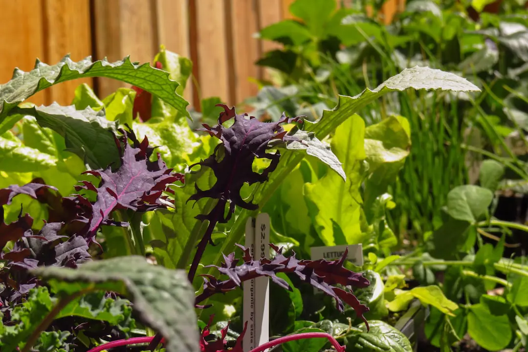 Jardinier préparant une liste d’outils près de jeunes plantations et de sacs de paillage dans un jardin français.