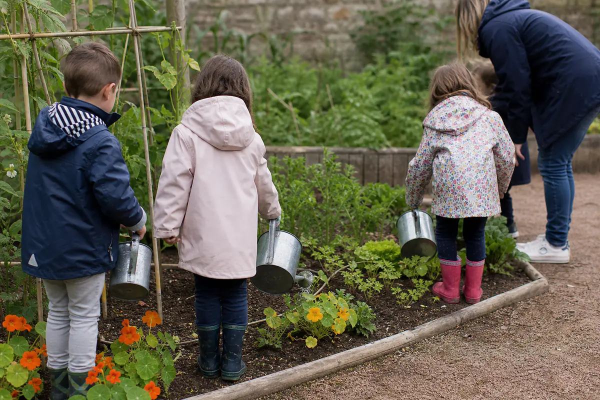 Enfants de maternelle arrosant des radis et des capucines dans un petit potager pédagogique ensoleillé.