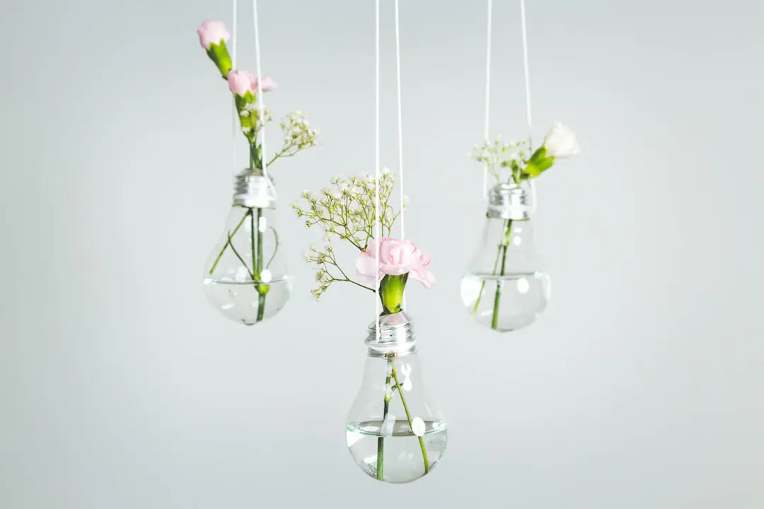 Coin bricolage de jardin français avec outils manuels rangés sur un panneau mural dans un abri lumineux