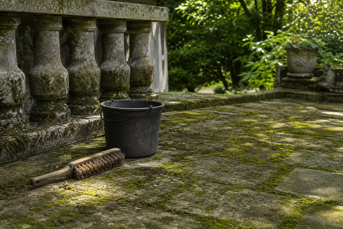 Dalles de terrasse en pierre naturelle recouvertes de mousse verte dans un jardin français ombragé