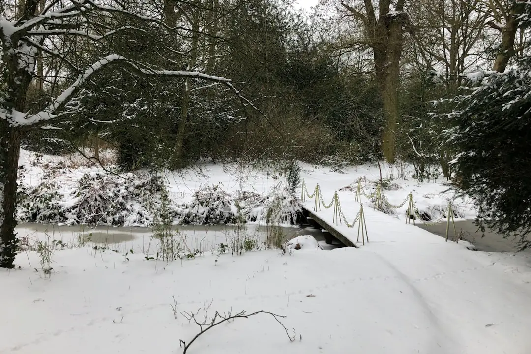 Serre de jardin française propre et lumineuse, avec mâche, pots protégés et voile d’hivernage en hiver.