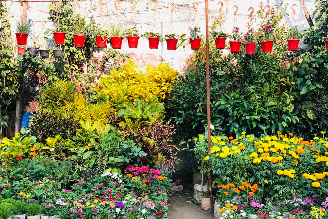 Jardin de ville français soigneusement composé avec massif fleuri paillé, allée nette et potées harmonieuses