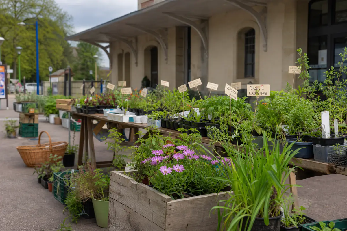 Jardiniers échangeant des godets de vivaces étiquetés sur des tables dans un lieu de passage lumineux