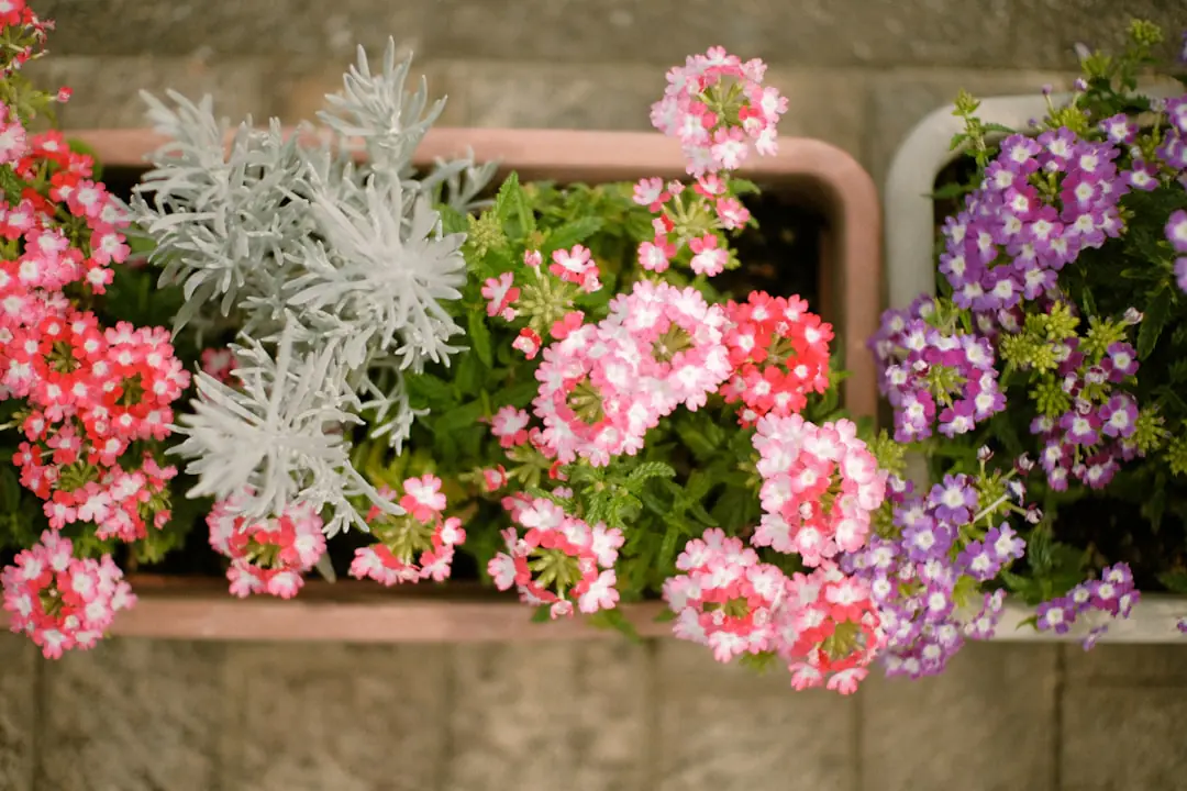 Sélection de cadeaux de jardinage durables sur une table en bois, avec outils, pots et plantes de balcon