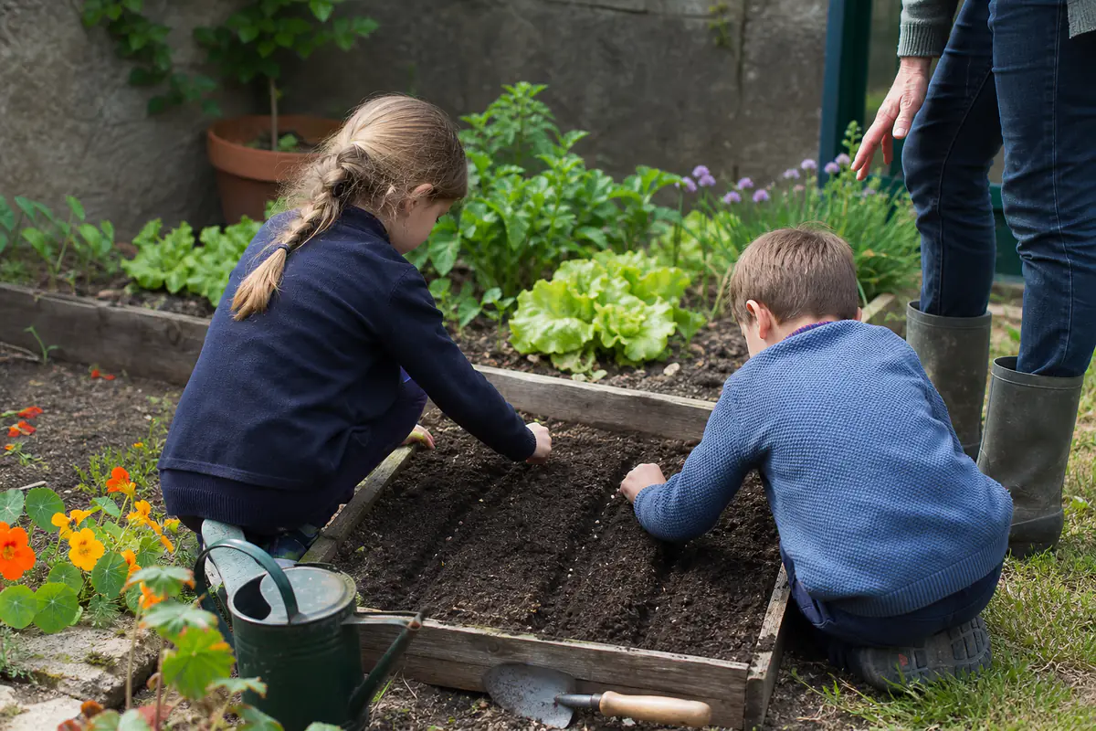 Deux enfants agenouillés sèment des radis dans un carré potager en bois, avec un adulte à leurs côtés.