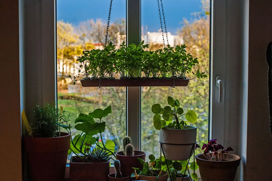 Étagère de plantes vertes éclairées par une rampe LED dans un couloir d’appartement sans fenêtre