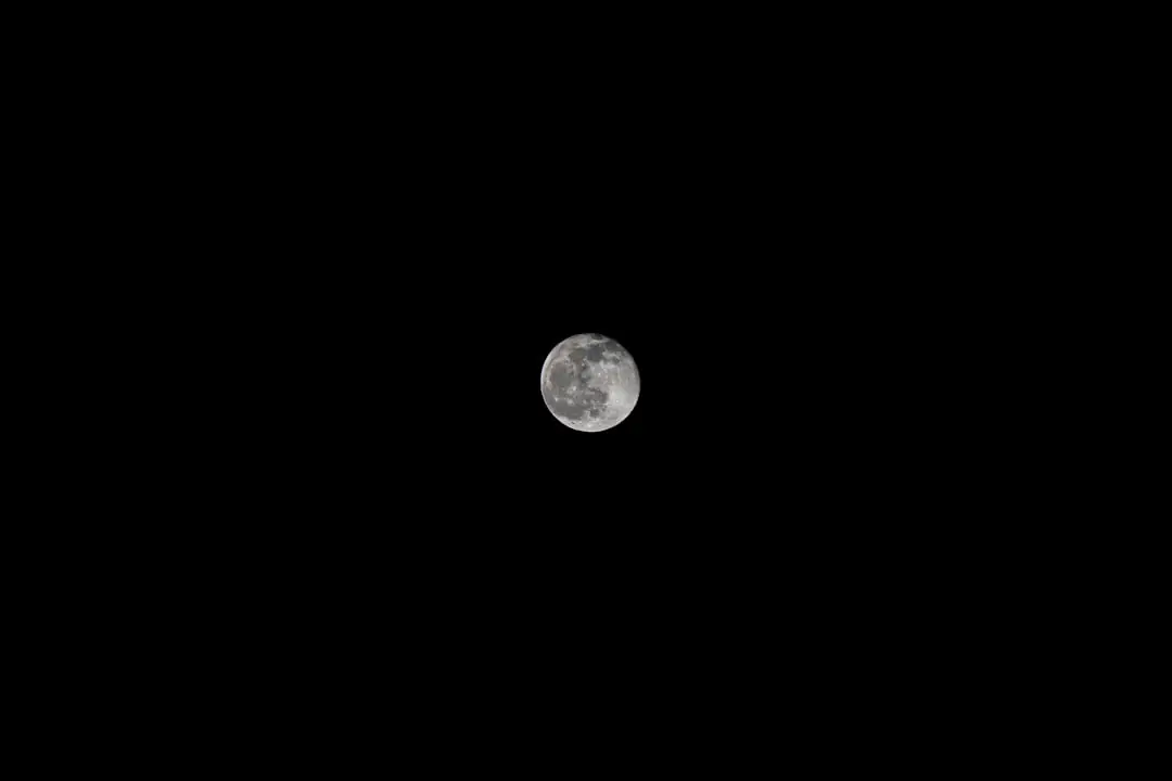 Jardinier observant un potager d’hiver paillé sous la pleine lune de décembre, avec voiles de protection