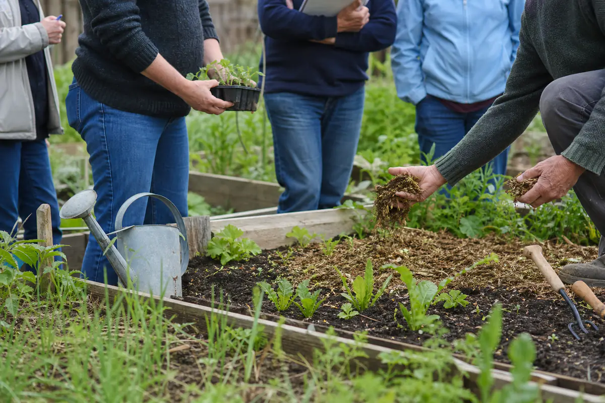 Jardiniers débutants observant des semis et préparant un potager collectif sous une lumière douce