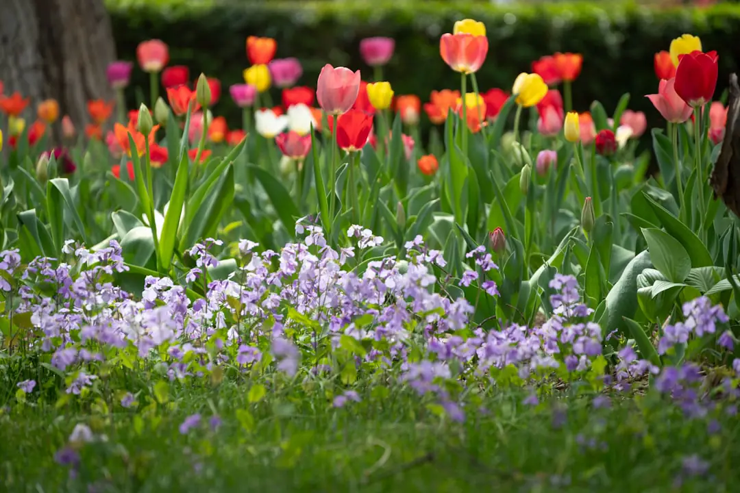 Jardinière préparant un potager au printemps avec compost, jeunes plants et outils sur un sol ressuyé
