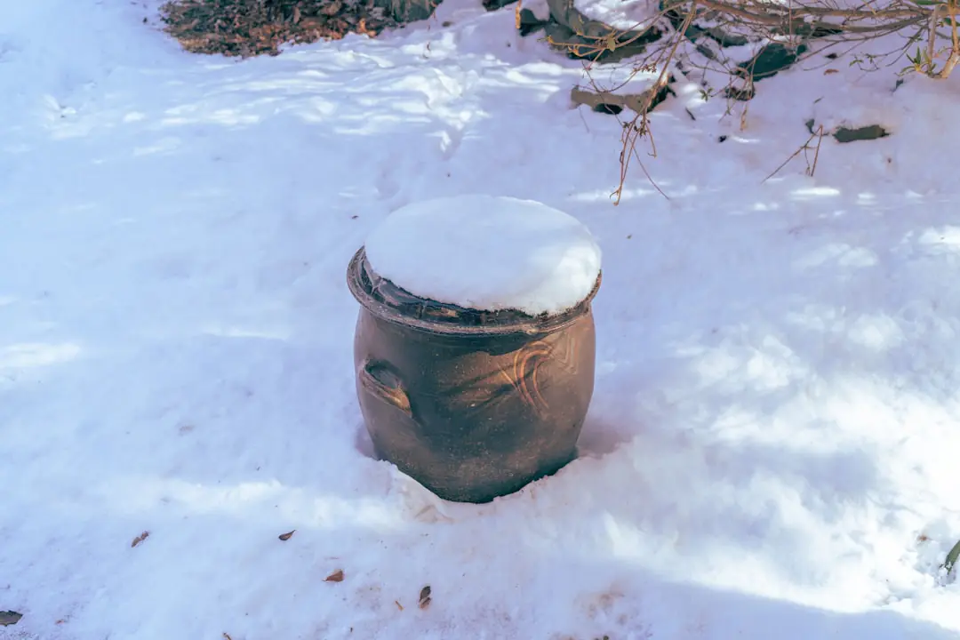 Composteur de jardin en hiver avec feuilles, épluchures et planches de potager paillées au premier plan