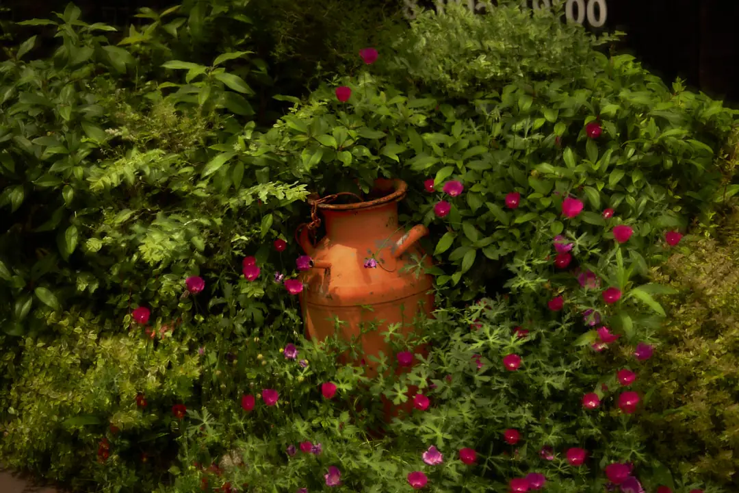 Jardinier observant deux parcelles de potager comparées, l’une paillée et l’autre non, dans un jardin français.