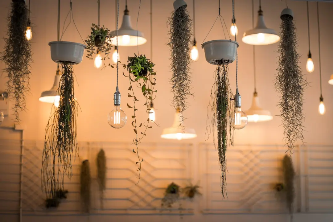 Salon français chaleureux éclairé par un lampadaire, des appliques murales et une lampe de table sans plafonnier central