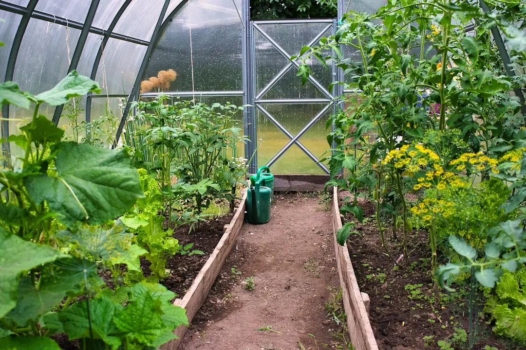 Jardinière débutante plantant des aromatiques dans un bac en bois sur une terrasse ensoleillée