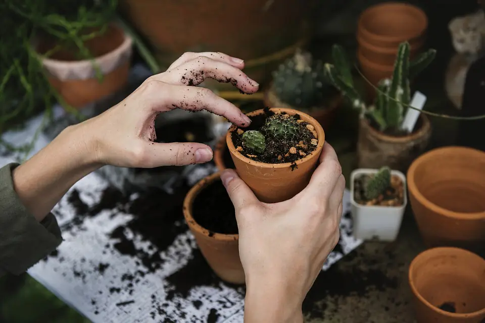 Jardinier ameublissant une planche de potager au printemps avec une grelinette avant un semis