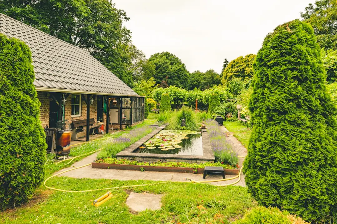Participantes observant un plan de massif et des plantes en godets lors d’un atelier de jardinage extérieur