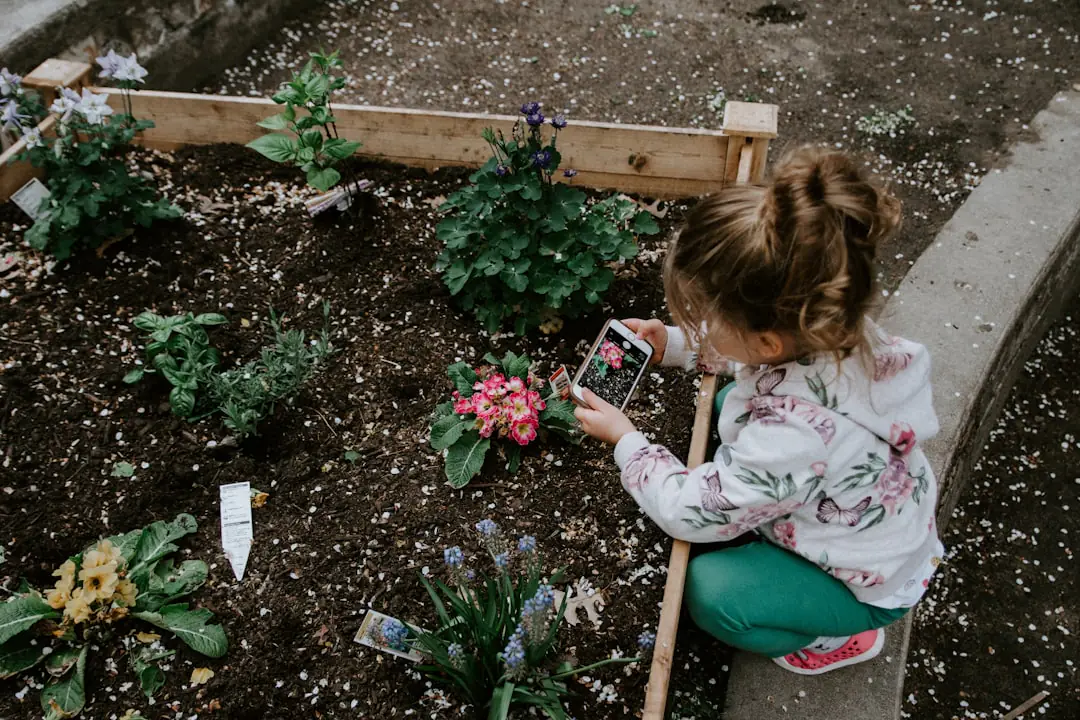 Jeune potager français au printemps, sol ressuyé et plants protégés attendant une plantation après les nuits fraîches