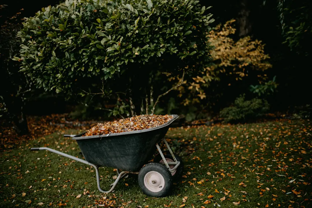Jardiniers couvrant des planches d’un jardin partagé avec compost, feuilles et engrais verts en automne
