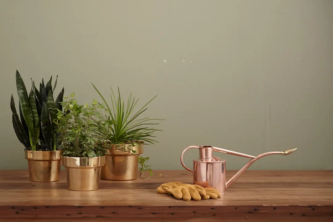 Kit d’outils de jardinage rangé dans des cartons sur palette dans un jardin français, avec pelle et râteau visibles