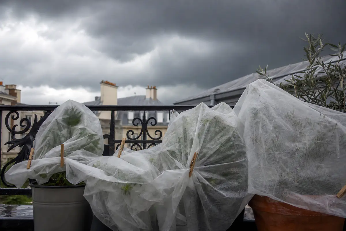 Pots de fleurs sur un balcon protégés par un voile d'hivernage avant un orage, ciel sombre menaçant en arrière-plan