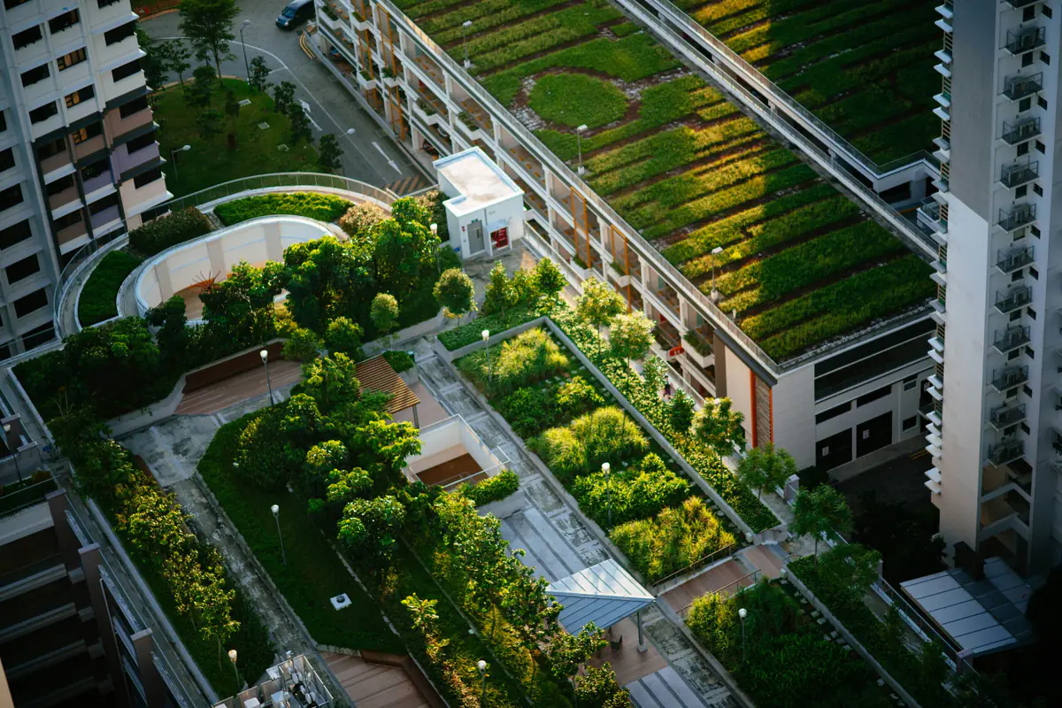 Jardiniers de tous âges entretennant des bacs de légumes paillés dans un potager urbain partagé français.