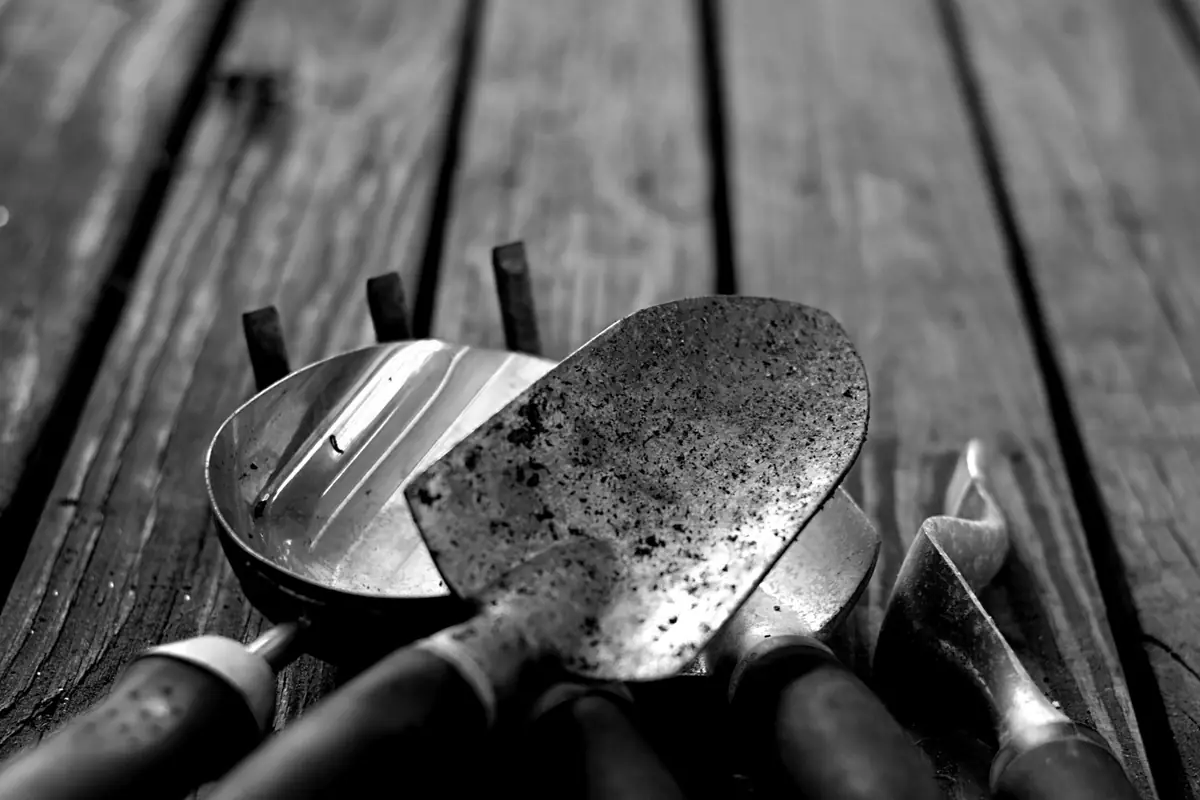 Cinq outils manuels de jardinage rangés sur une table en bois près d’un potager français ensoleillé.