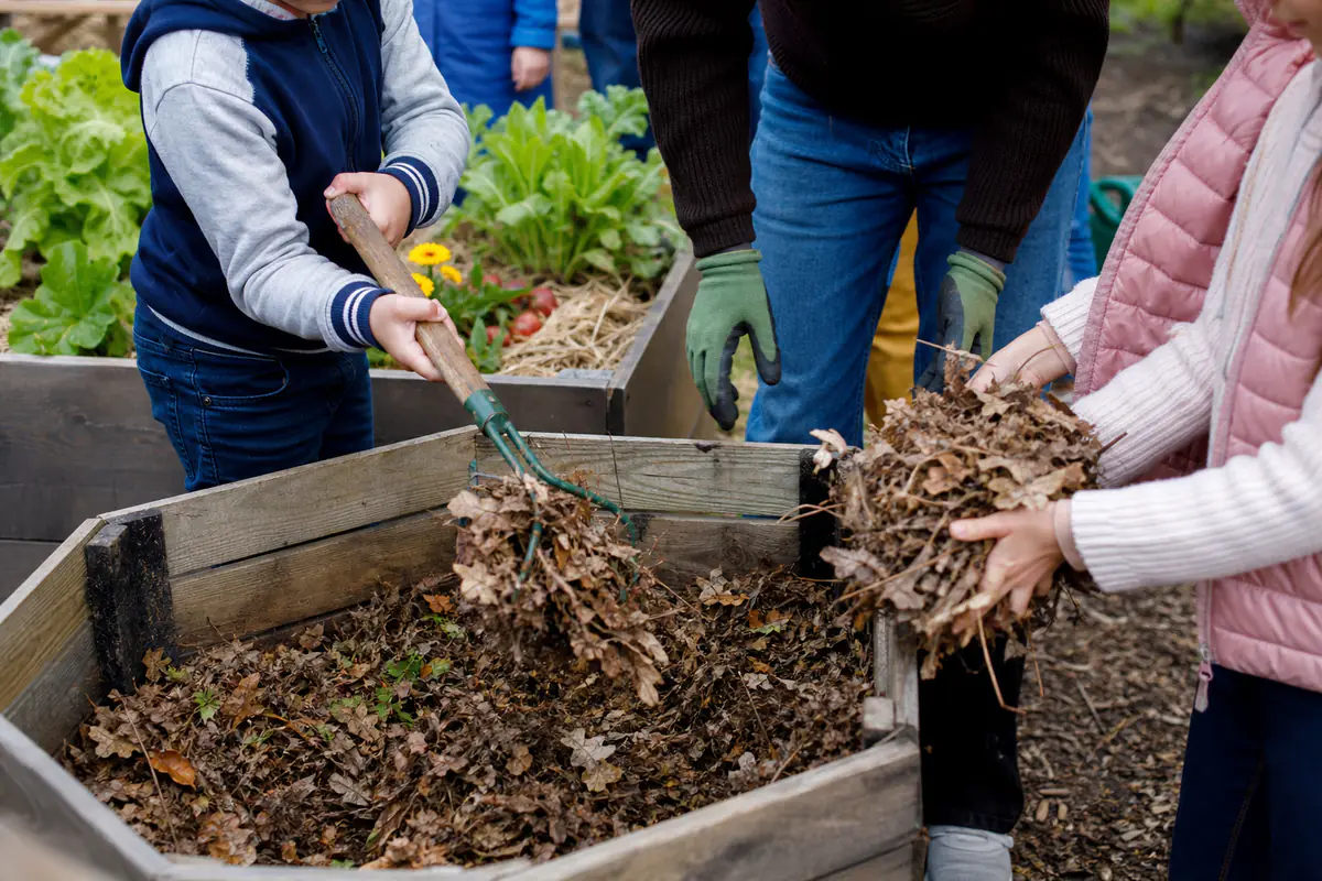 Enfants encadrés ajoutant des feuilles sèches dans un composteur près de bacs potagers écologiques