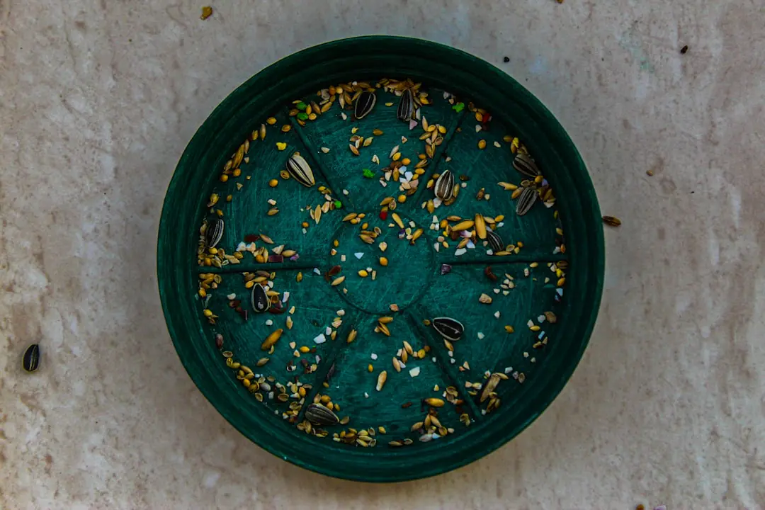Main de jardinier récoltant des têtes sèches de cosmos brun foncé dans un sachet en papier au jardin