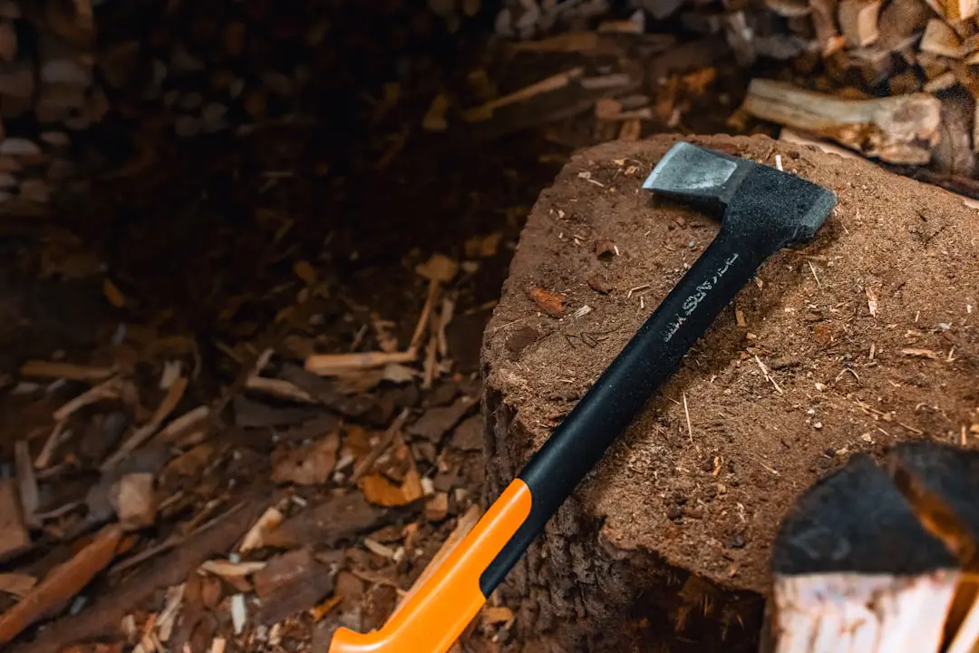 Stère de bûches fendues séchant sous un abri aéré près d’une lisière forestière française, sans prélèvement visible