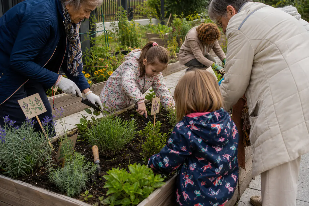Seniors et enfants plantant des aromatiques dans des bacs surélevés d’un potager partagé ensoleillé