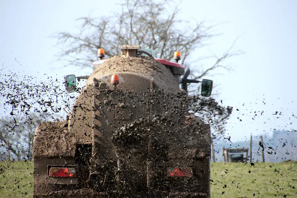 Trois engrais naturels en granulés, sang séché, corne broyée et guano, près d’un potager au printemps.