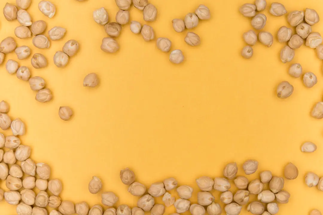 Rangs de petits pois tuteurés dans un potager français, avec gousses vertes prêtes à être récoltées