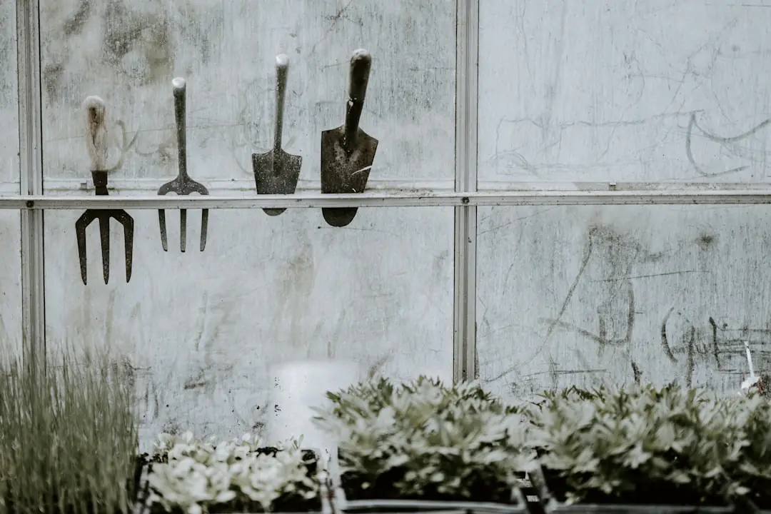 Quatre outils essentiels posés sur un établi de jardin près de jeunes plants et d’un arrosoir en métal