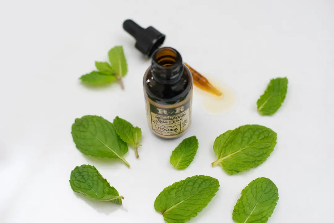 Trois pots de menthe fraîche autour d’un composteur fermé dans un jardin français soigné et lumineux