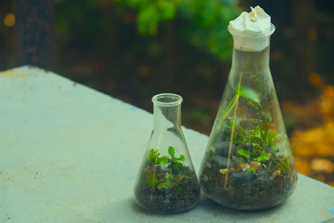 Trois générations créent un terrarium de plantes d’intérieur autour d’un grand bocal en verre sur une table lumineuse.