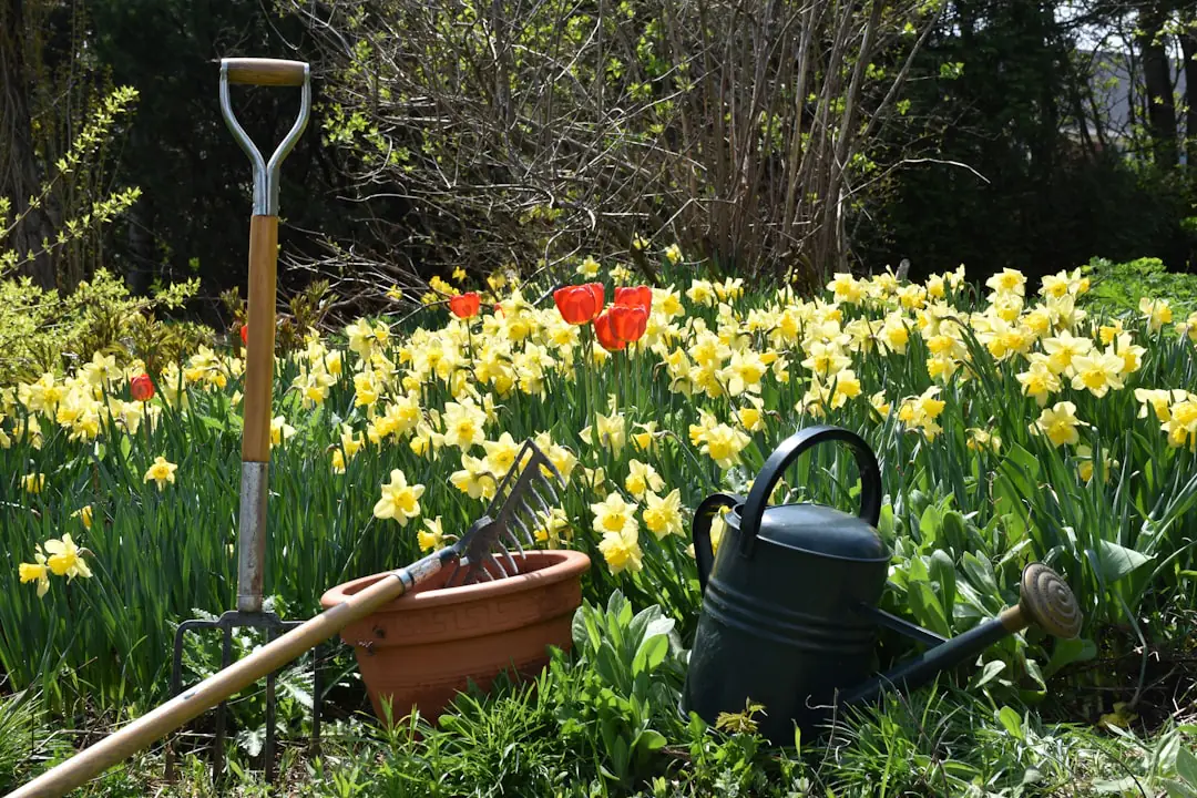 Jardin français en février avec plates-bandes paillées, fruitier taillé et semis sous châssis transparent