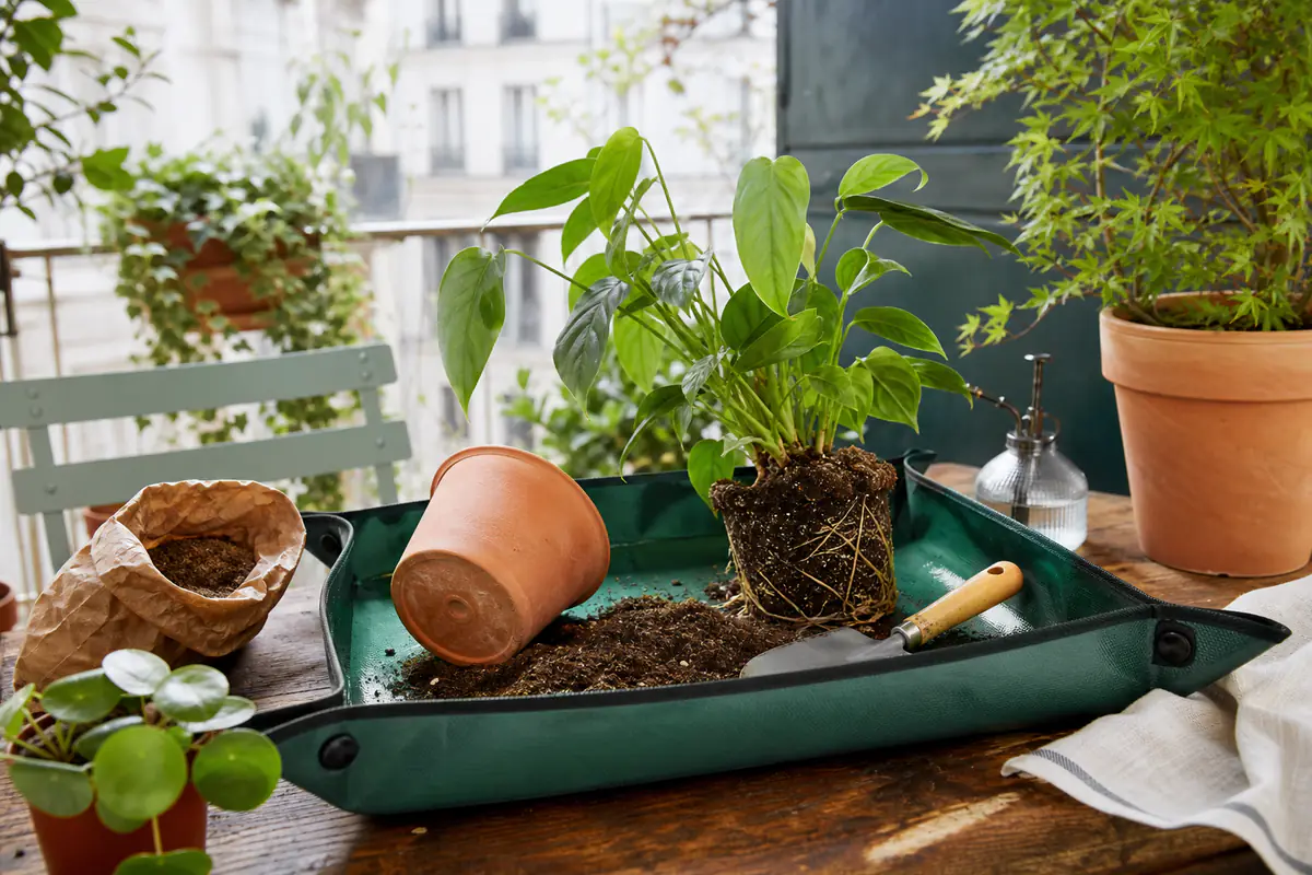 Tapis de rempotage pliable étanche à rebords contenant un pot, du terreau et des outils sur une table