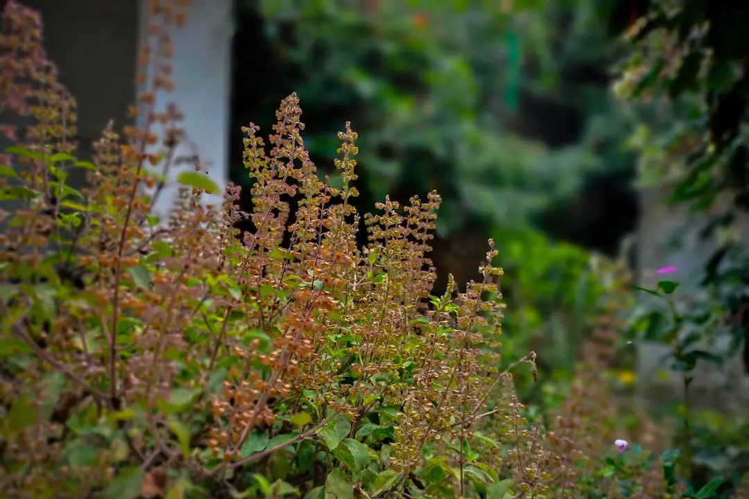 Jardinière consultant une application de plantes indigènes devant un massif fleuri accueillant des pollinisateurs