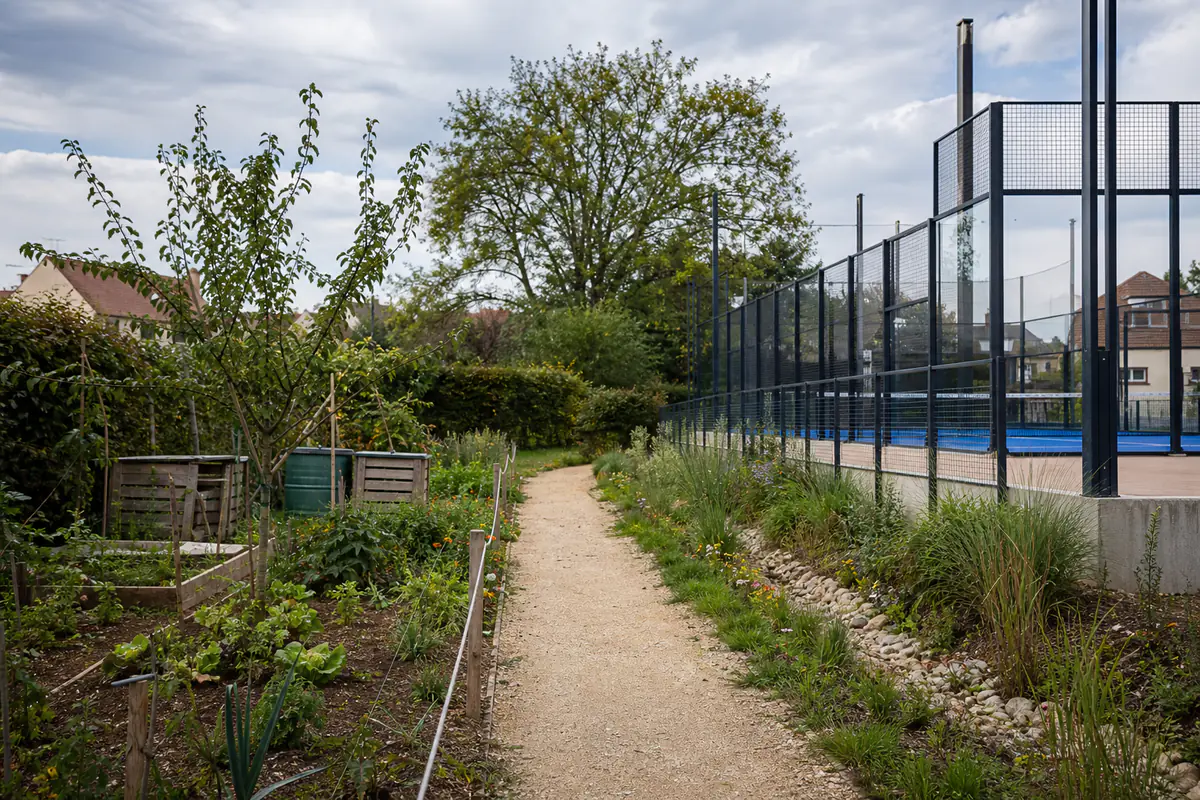 Jardins ouvriers bordés de haies et parcelles potagères près de terrains de tennis et de padel