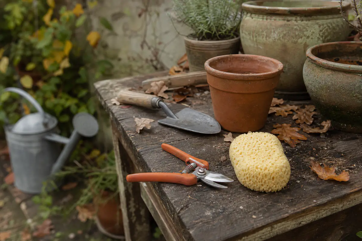 Éponge de cellulose propre, sécateur et pots en terre cuite sur une table de jardin parmi des feuilles d’automne.