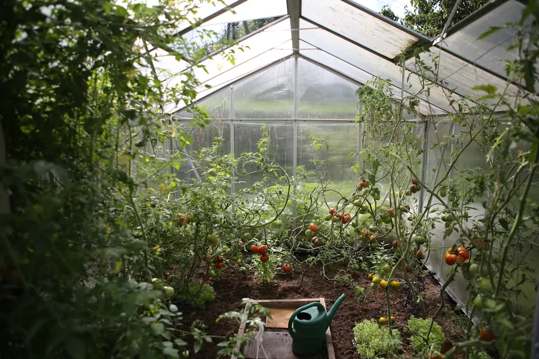 Jardin punk français avec prairie fleurie, chemin tondu et arbustes locaux sous une lumière de fin d’été