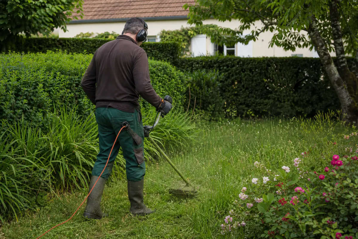 Jardinier équipé de protections utilisant une débroussailleuse électrique près de hautes herbes, sans raser le sol